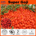 Top quality competitive price Import Xinjiang Organic Goji Berry